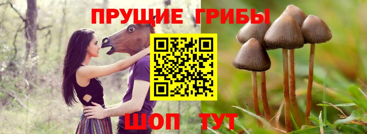 Псилоцибиновые грибы Psilocybine cubensis  Вход с VPN  Семёнов  Галлюциногенные грибы Magic Shrooms 